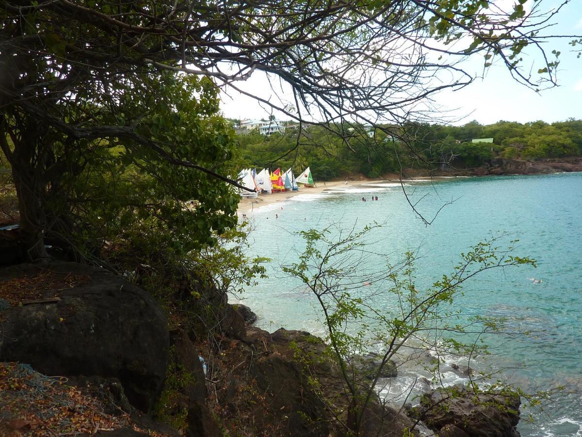 résidence la pointe marine Deshaies Extérieur photo